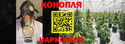 сатива Бугуруслан